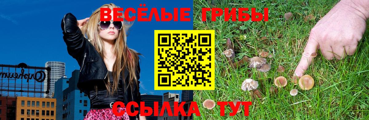 Галлюциногенные грибы Magic Shrooms Анапа