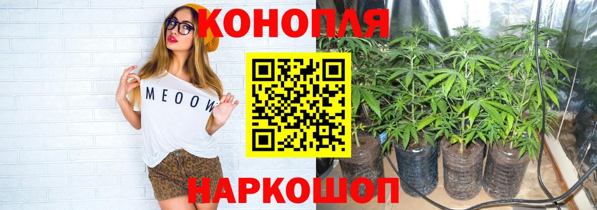 Шишки марихуана конопля  Шишки марихуана OG Kush  Вход с VPN  МАРИХУАНА White Widow  Анапа 